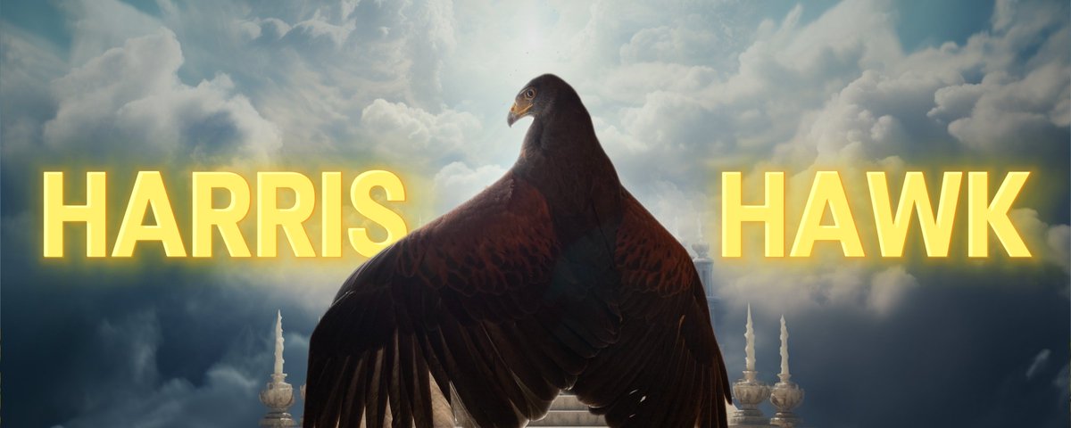 A famous Japanese hawk just passed away today, and it’s already going viral all over Japanese X.

8.1 MILLION views in just 9 HOURS, with 350k likes on the quote post alone.

Apparently, he was a Harris’s hawk.

We haven’t had a Japanese animal runner in a while this feels like