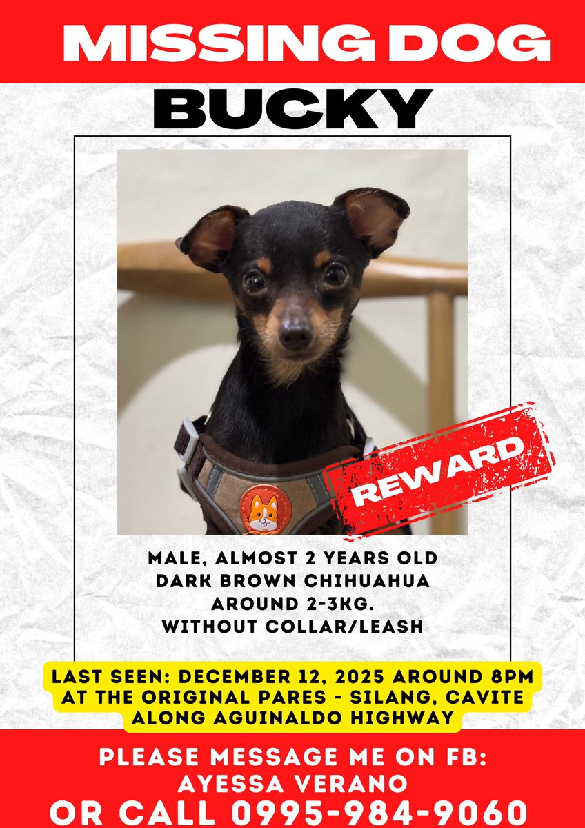 nami ; xoxo tweet media