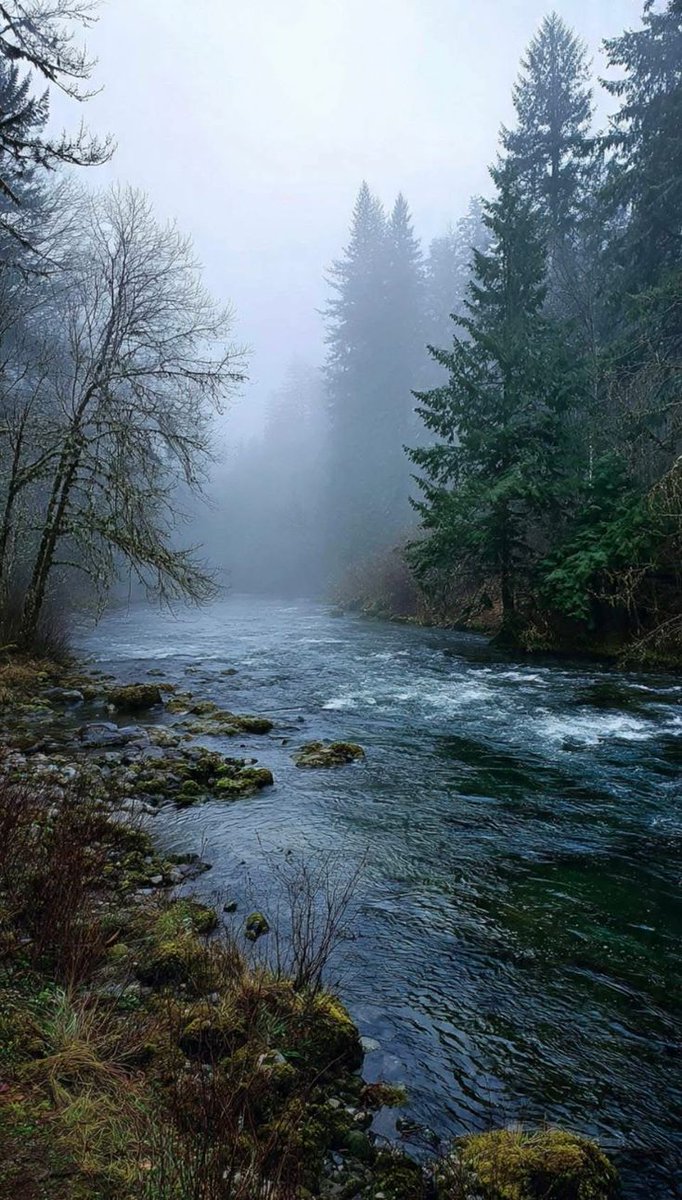 foggy river.