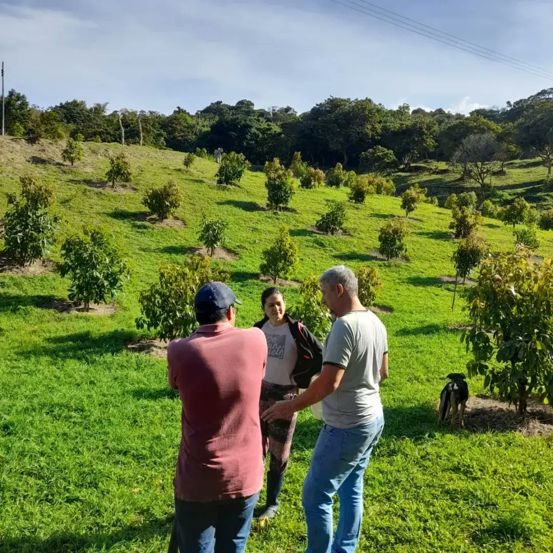 Chocolates Táchira 🌰 tweet media