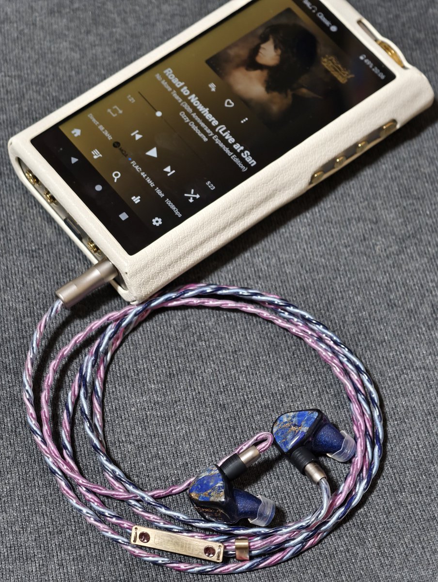 Wagnus._discipulus (@Toru_wagnus) / Posts / X