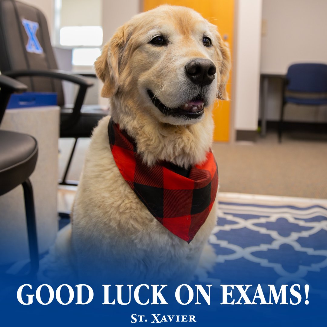 Good luck on exams, Bombers!