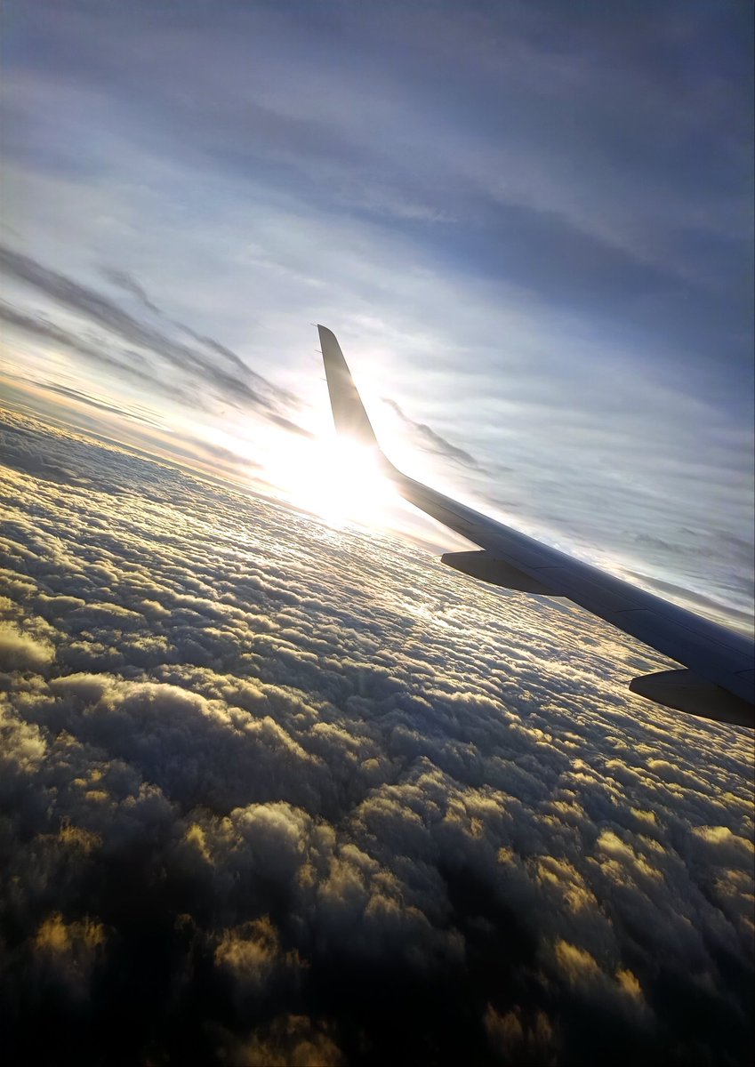 Denes / Vittorio_Post tweet media