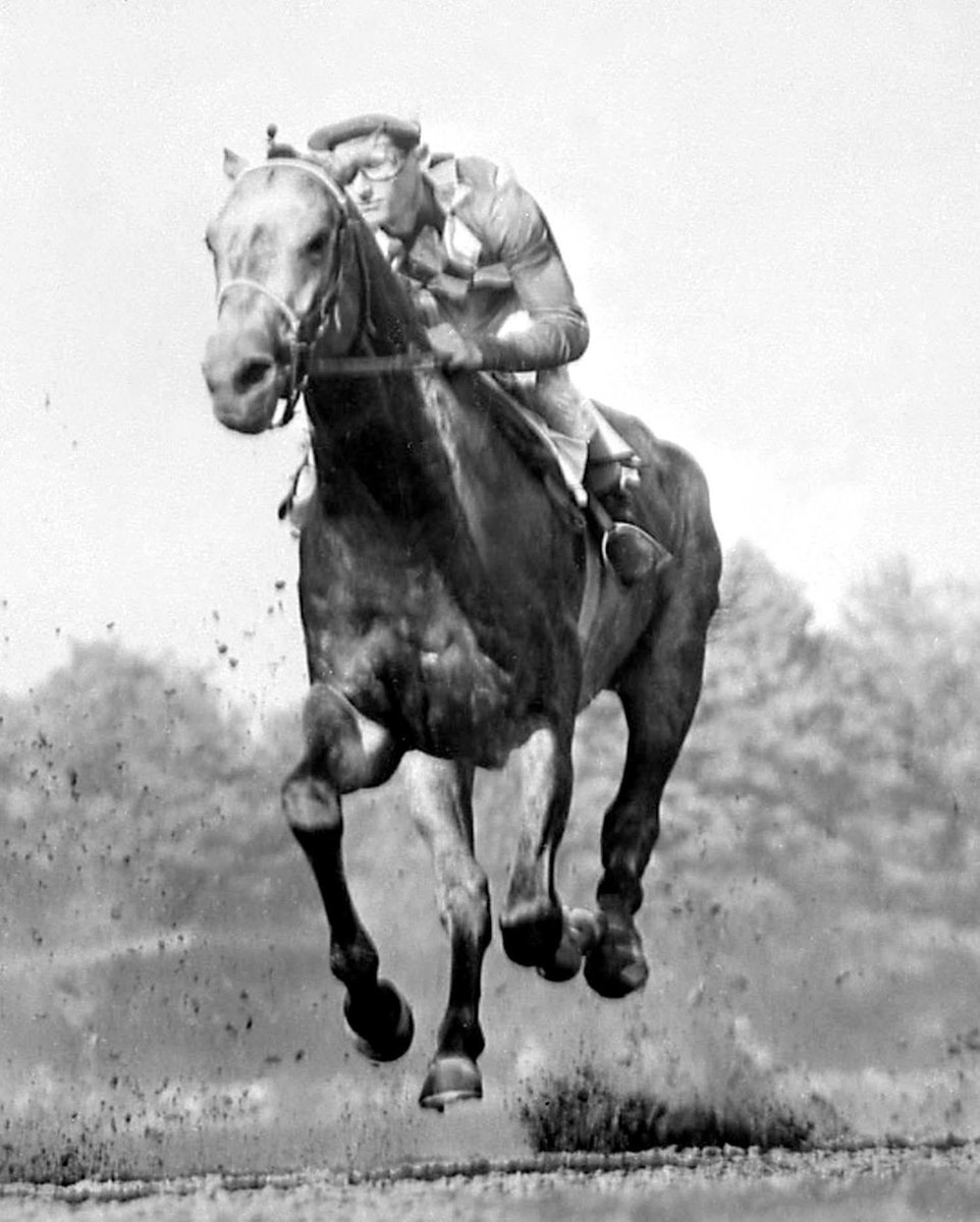 HORSERACING1002's tweet photo. NATIVE DANCER 🇺🇸 1950
(POLYNESIAN GEISHA BY DISCOVERY)
#NativeDancer https://t.co/NT3gIxWKJo