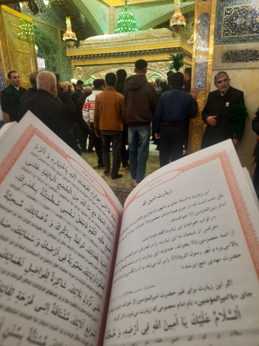 نائب الزیاره دوستان هستم