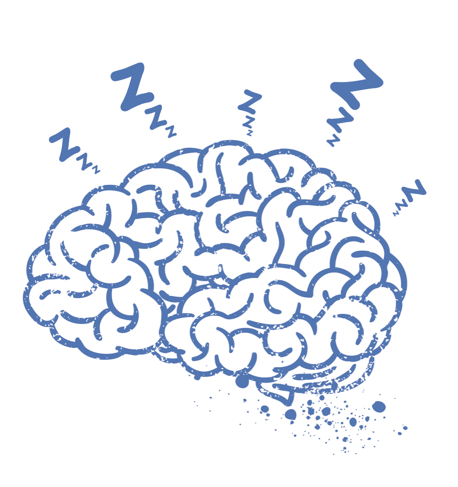 Social Neuroscience Bern tweet media