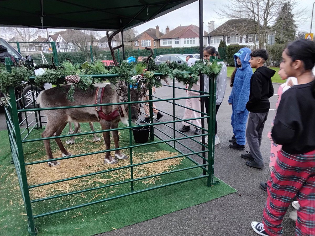 MountStewartSch's tweet photo. 6M enjoyed their visit from Santa and his reindeer this morning! #tmssyear6 #tmssfoms https://t.co/5Y1qab0erZ