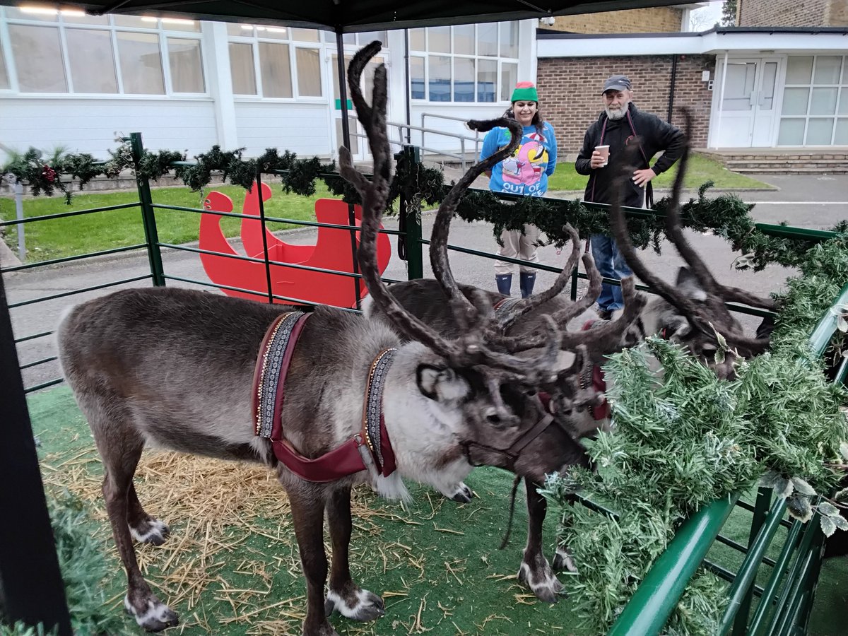MountStewartSch's tweet photo. 6M enjoyed their visit from Santa and his reindeer this morning! #tmssyear6 #tmssfoms https://t.co/5Y1qab0erZ