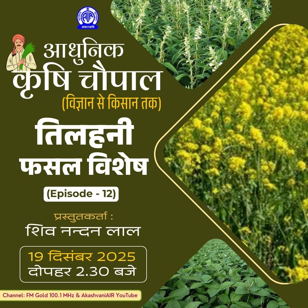 AkashvaniAIR's tweet image. 🗓️19 दिसंबर, दोपहर 2:30 बजे
सुनिए...

💠 अन्नदाताओं को समर्पित विशेष कार्यक्रम

🔘'आधुनिक कृषि चौपाल': विज्ञान से किसान तक

▶️ तिलहनी फसल विशेष

📻आकाशवाणी गोल्ड चैनल पर और  आकाशवाणी के 96 केन्द्रों से

Premiere Link: youtu.be/6Fd4mxUPSAk

#KisanVani #SurakshitKheti…