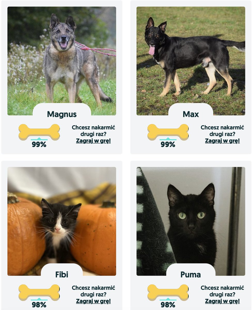 Korzystając ze wzmożonego ruchu w #skijumpingfamily po kanadyjskiej dramie 🥸...

Pamiętaj o wrzuceniu chrupka i podaniu dalej, akcja trwa do jutra 🐶🐈.
nakarmpsa.olx.pl