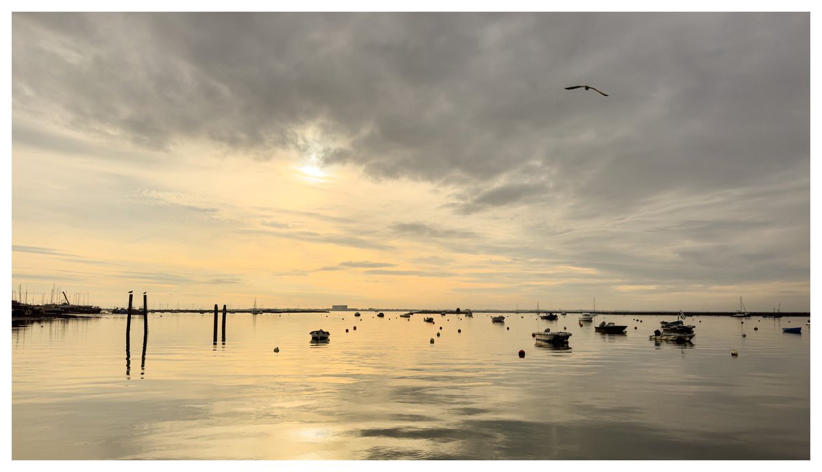 Just out walking the boys &amp; can’t believe how calm it is.  Wish I’d taken the camera now!