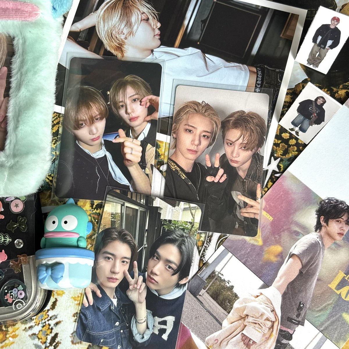 montoutts's tweet image. 🐈‍⬛🐠 holic