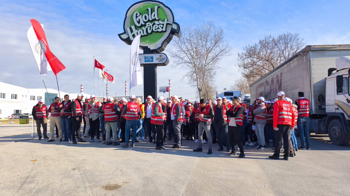 Gold Harvest’te hukuksuz şekilde işten çıkarılan üyelerimiz için basın açıklaması düzenledik. İşçilerin emeğini ve sendikal haklarını hedef alan bu anlayışı kabul etmiyoruz. Mücadelemiz sürecek.