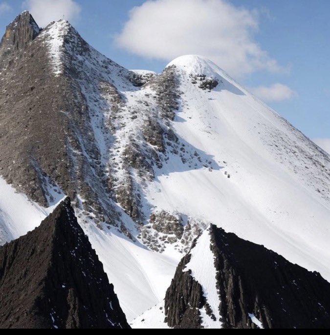 Elif ben tweet media