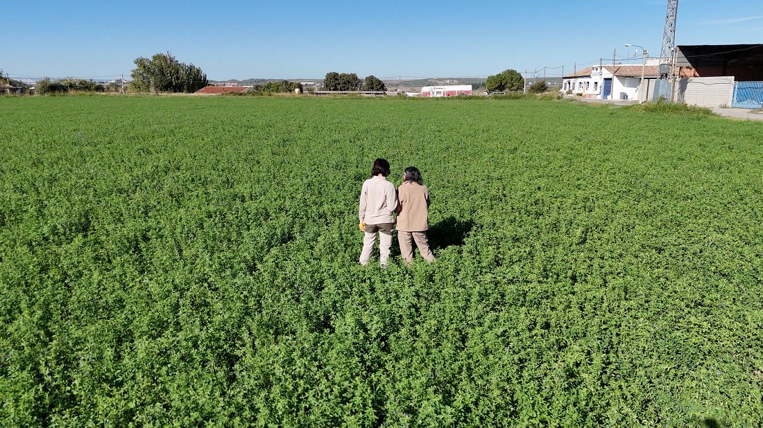 ‘Sarga Emplea’ consolida su estrategia para atraer talento un año después de su lanzamiento  sobrarbedigital.com/sarga-emplea-c… a través de <a href="/SobrarbeDigital/">Sobrarbe Digital</a>