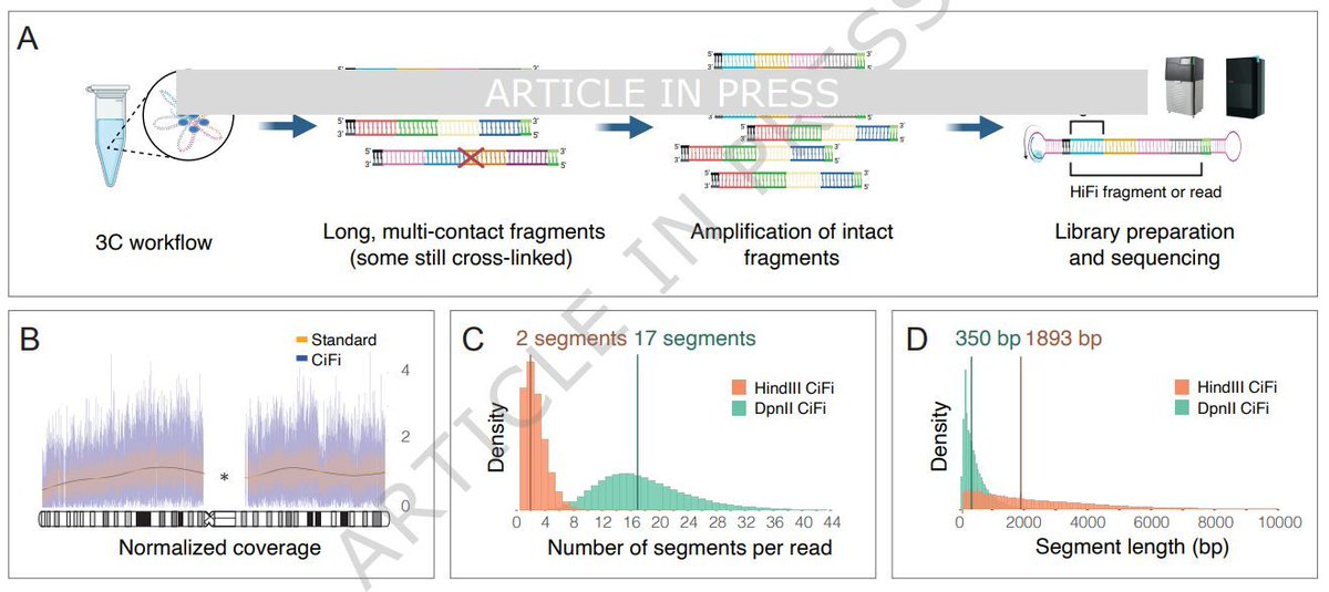 jsantoyo's tweet image. CiFi: accurate long-read chromosome conformation capture with low-input requirements. #HiFi #LongRead #Sequencing @NatureComms 🧪🧬 🖥️ 
nature.com/articles/s4146…