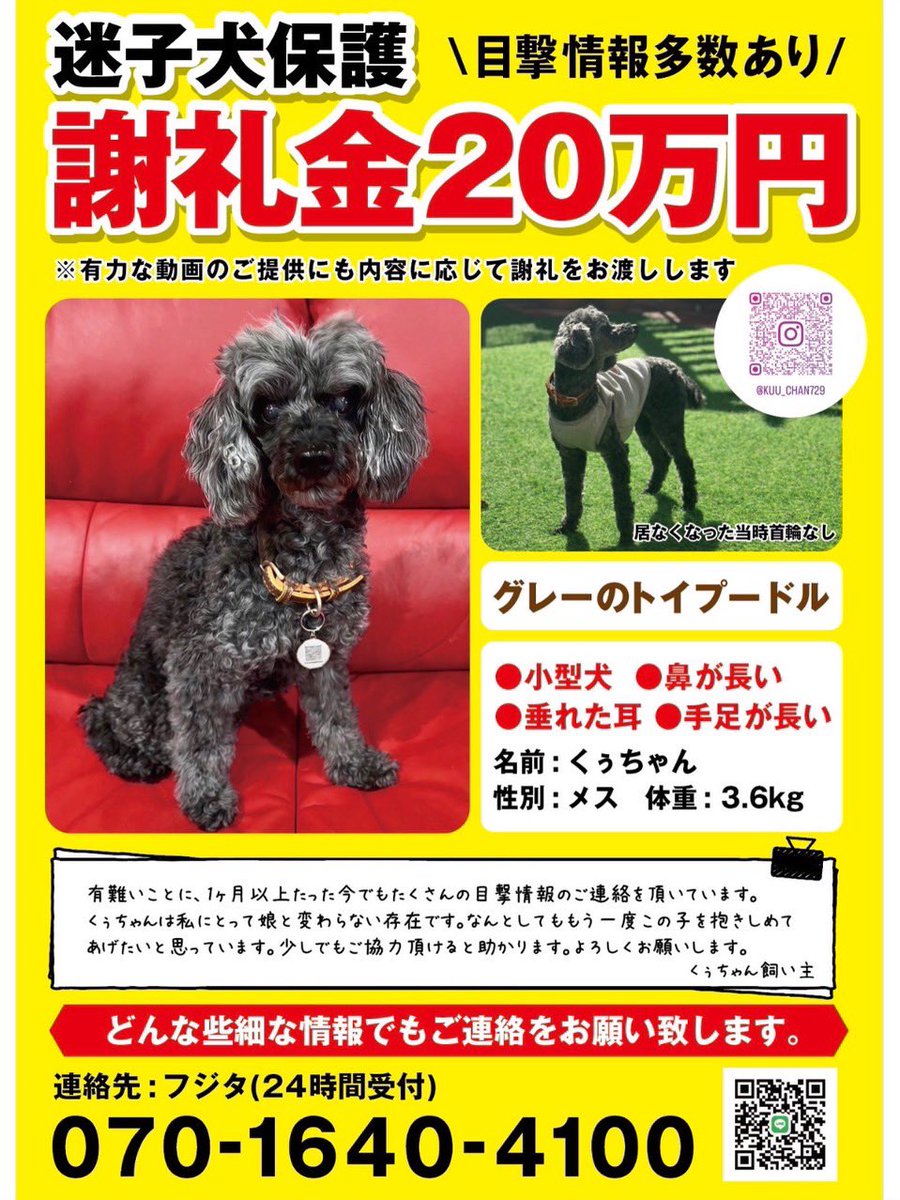 ありんこ (@arinkofmfm) / Posts / X