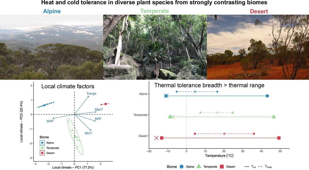 JEcology's tweet image. Published!📖

Plants have thermal tolerance breadth. By measuring both heat and cold tolerance in 69 diverse species from 3 contrasting biomes in the field, we revealed associations between physiological tolerance and local climate factors🏔️ 

Read more:buff.ly/i5DcHsY