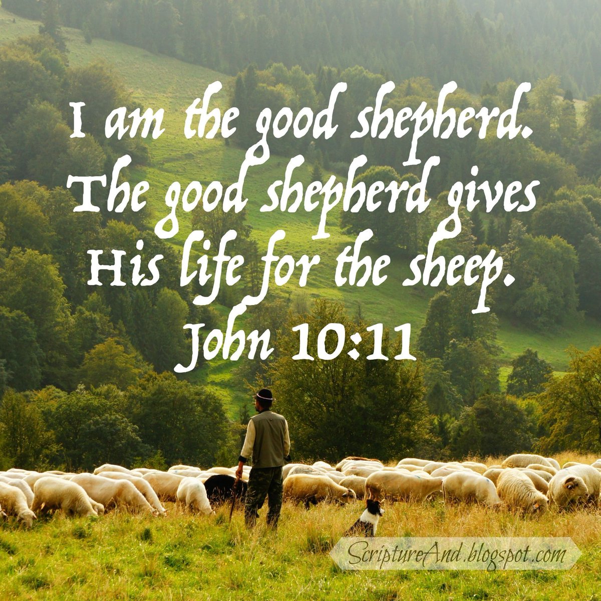 ScriptureAnd's tweet image. Jesus is the Shepherd who lovingly cares for us and guides us. #NamesOfJesus buff.ly/3l4JMGh