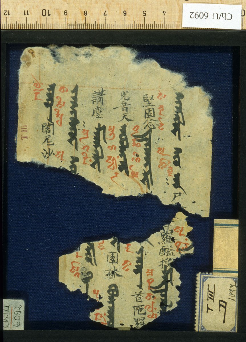 Centre for the Study of Manuscript Cultures (CSMC) tweet media