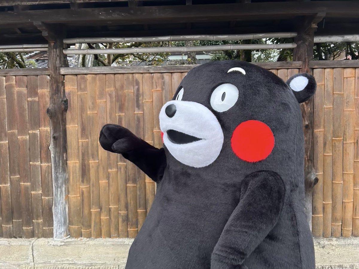 はっちゃん(Hachi) (@hachi16) / Posts / X