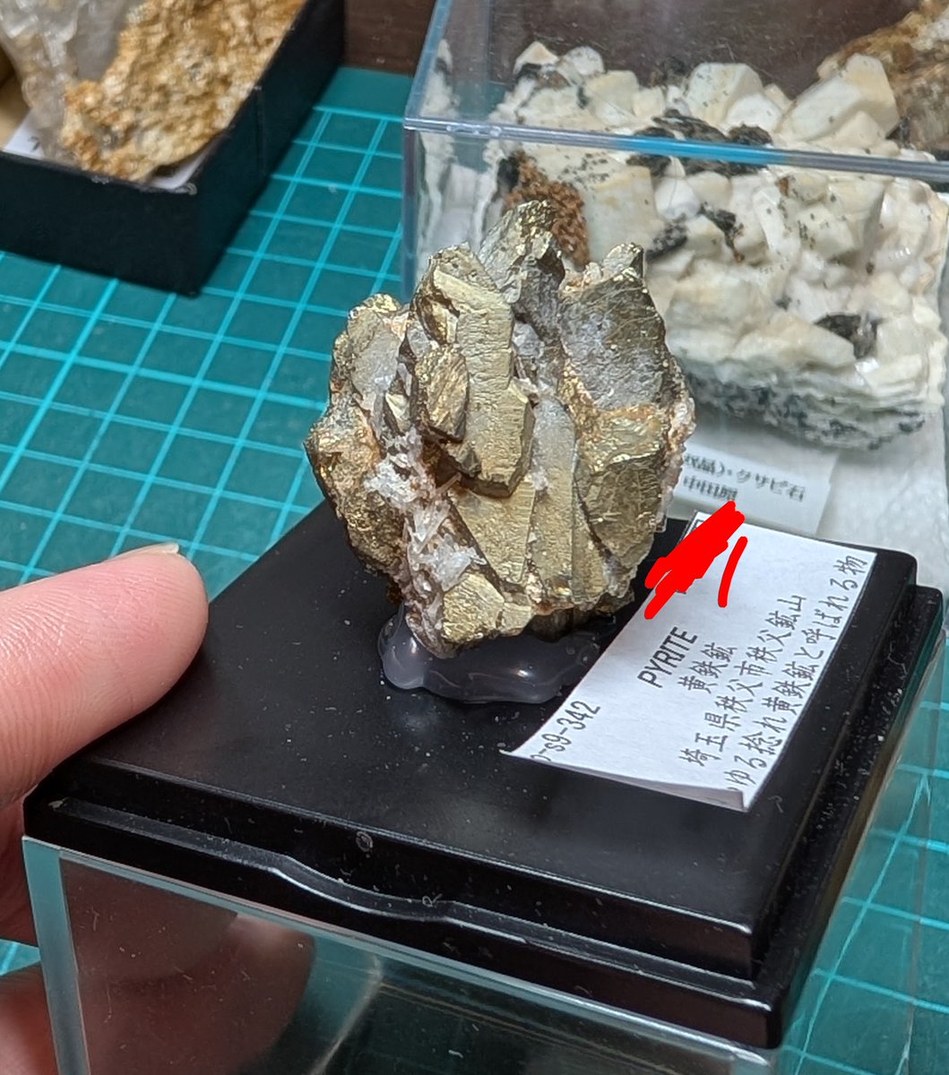東京ミネラルショー2025 最終日の購入品。秩父鉱山赤岩の黄鉄鉱。矢