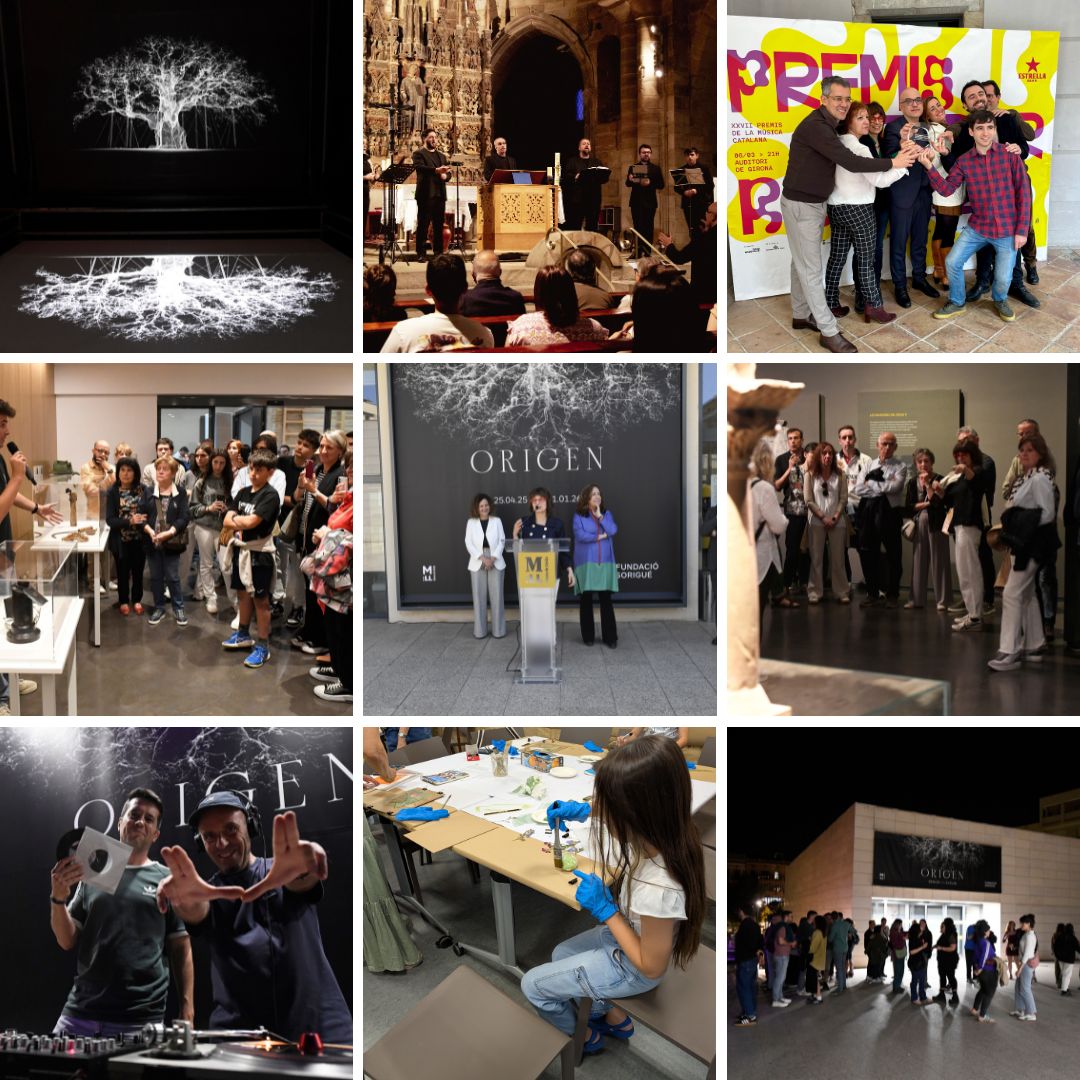 Museu de Lleida tweet media