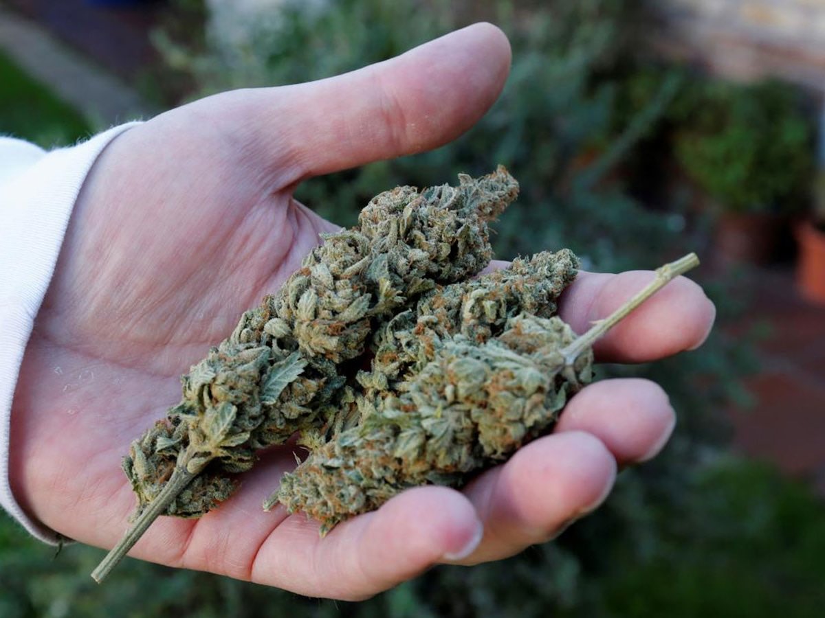 porqueTTarg's tweet photo. "Marihuana"

Porque Trump evalúa reclasificar la marihuana como una droga menos peligrosa. https://t.co/SDi7zeugts