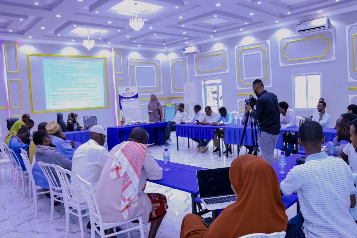 Somali Peace Line (Tubta Nabadda Soomaaliyeed) tweet media
