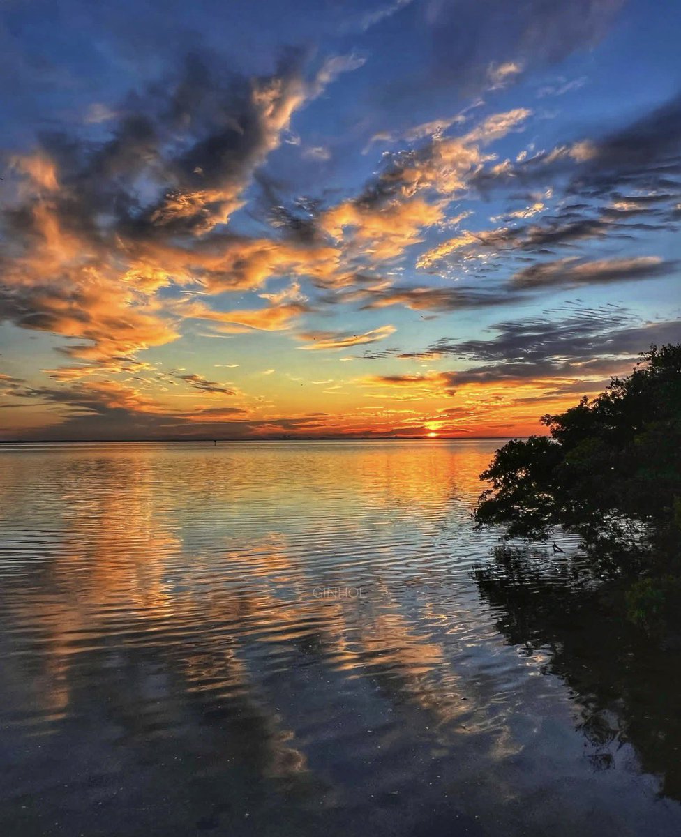 Good morning friends! #tuesdayvibe #TuesdayFeeling