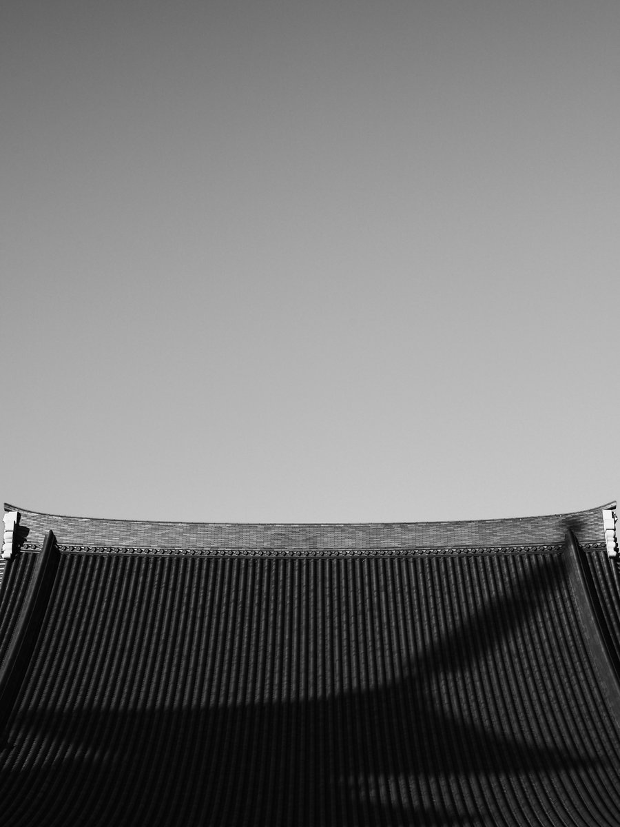 BREW (@sky_brew) on Twitter photo 