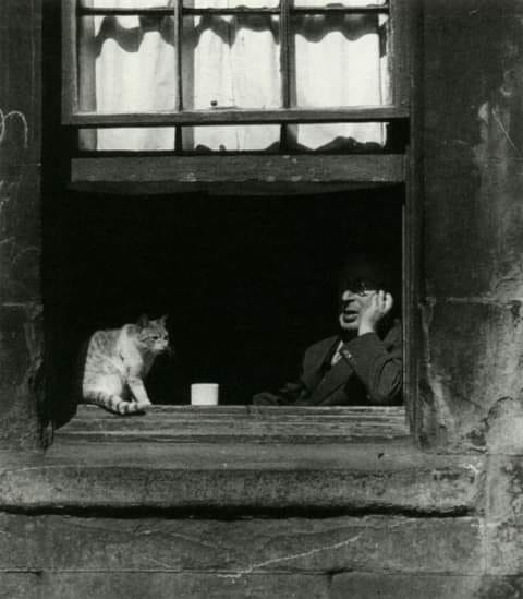 “No me duele la soledad: bastante esfuerzo es tolerarse a uno mismo y sus manías".
Jorge Luis Borges
📷Bill Brand