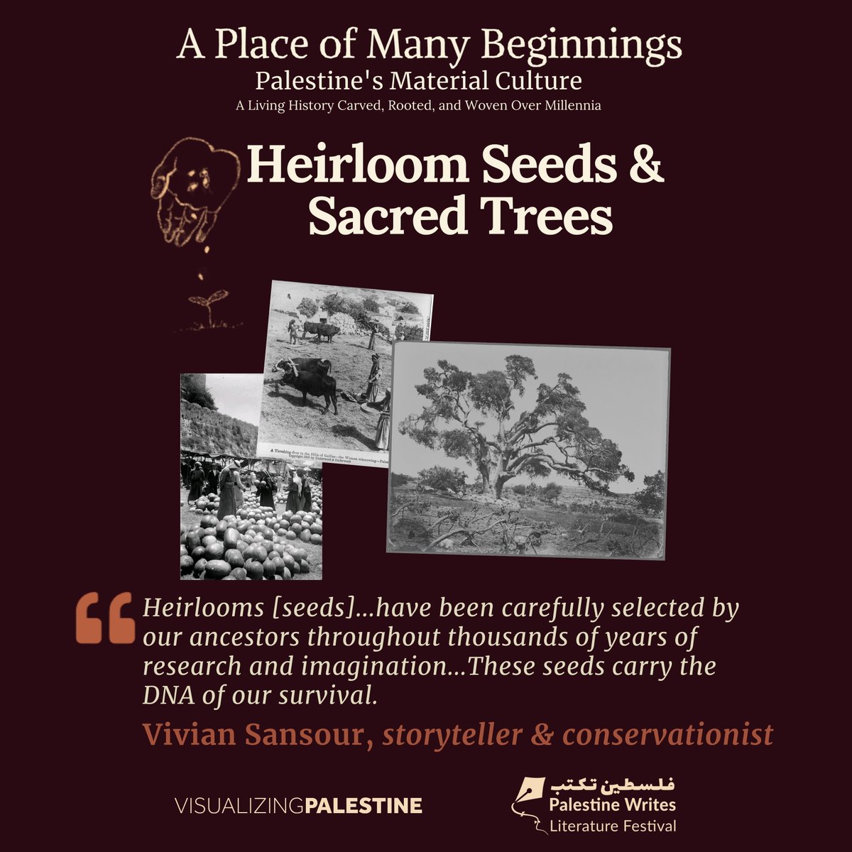 Visualizing Palestine tweet media