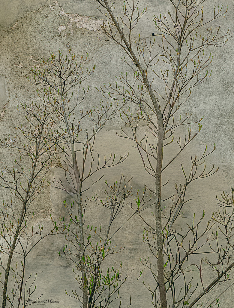 Muur bij het Burgerkinderenweeshuis, Begijnenstraat, Nijmegen