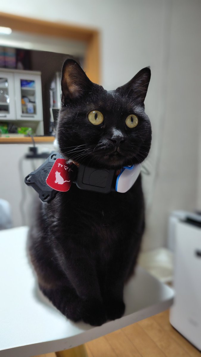 元画像はコチラです。