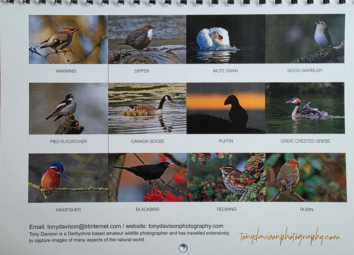Always a nice surprise when my new year calender arrives in the post from good pal <a href="/SpinneyBirder/">Tony Davison</a> . Big thanks Mr D . Great pics as ever and Happy Birtgday 🎉🍰