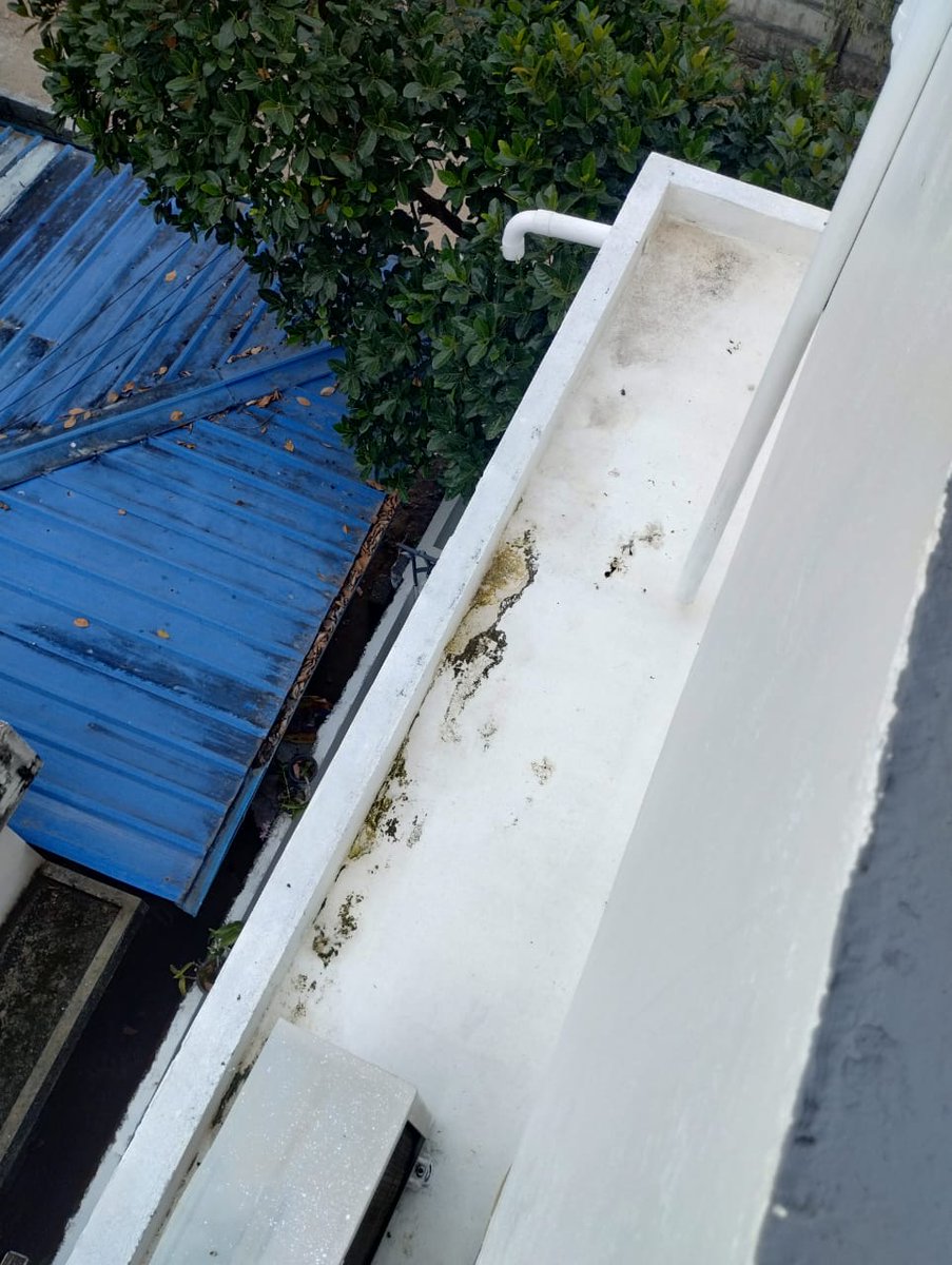 jithinjoe's tweet photo. @BergerPaintsInd 
Extremely https://t.co/TCtk9S6trD Painting was completed just 1 month ago, and this is the condition already — paint peeling, bubbles on walls, moss forming on the sunshades. This level of quality is unacceptable. Expecting an urgent explanation https://t.co/UNCv4hAwDy