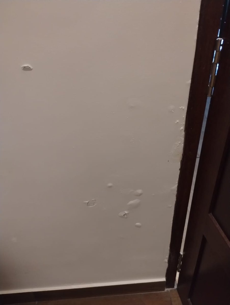 jithinjoe's tweet photo. @BergerPaintsInd 
Extremely https://t.co/TCtk9S6trD Painting was completed just 1 month ago, and this is the condition already — paint peeling, bubbles on walls, moss forming on the sunshades. This level of quality is unacceptable. Expecting an urgent explanation https://t.co/UNCv4hAwDy
