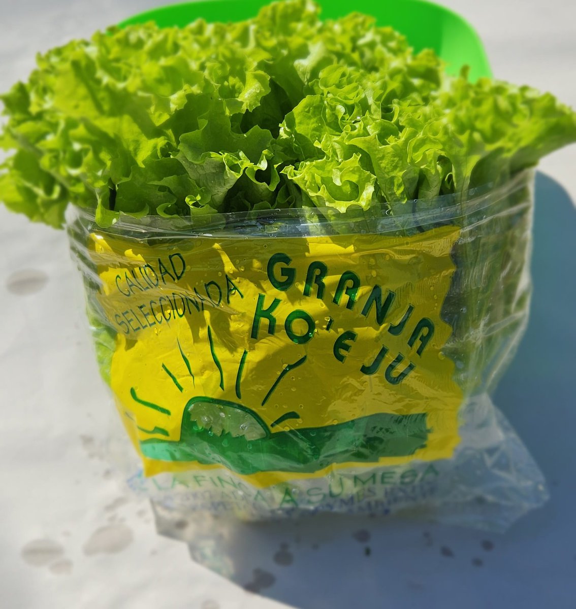 Quien conoce?
Estoy pensando seriamente dejar de producir hortalizas, me doy cuenta en el día a día que la gente piensa mas en la marca de la remera o champion para comprar que la calidad de los alimentos a consumir llego el momento de dar un paso al costado?