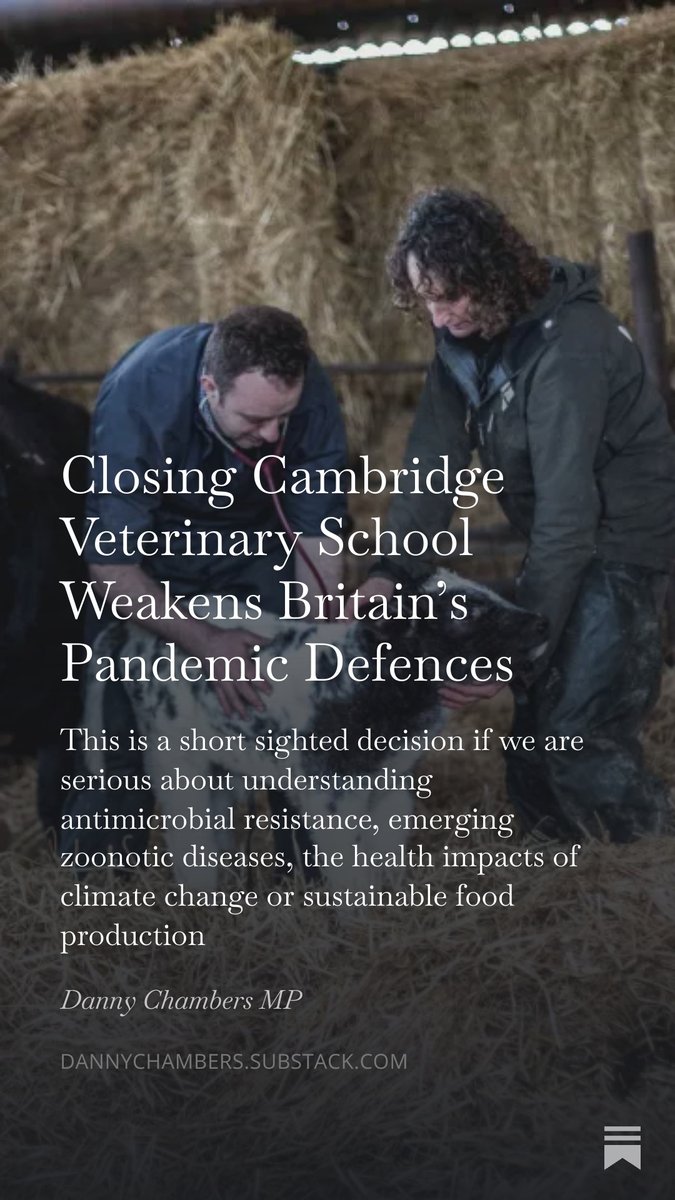 Danny Chambers MP 🔸🩺 tweet media