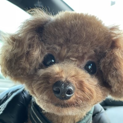 陽くん tweet media