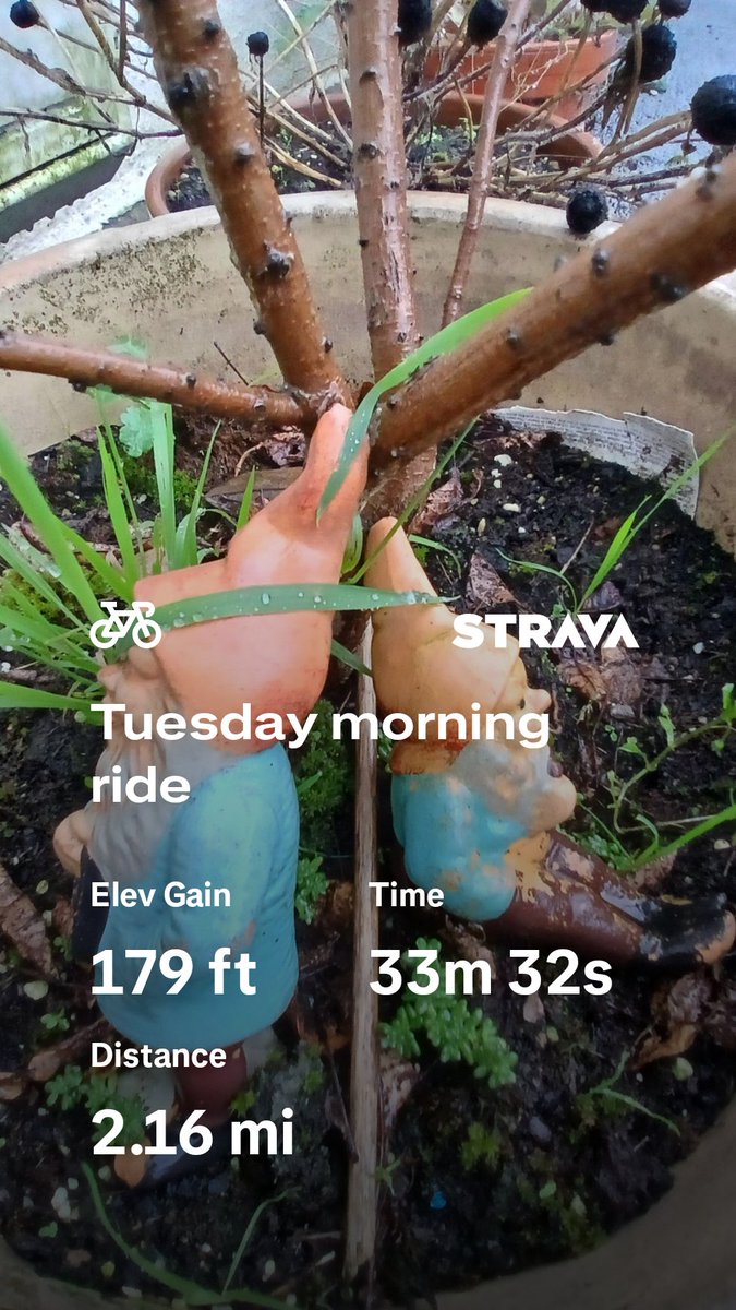 Tuesday morning ride strava.app.link/VwTORV938Yb