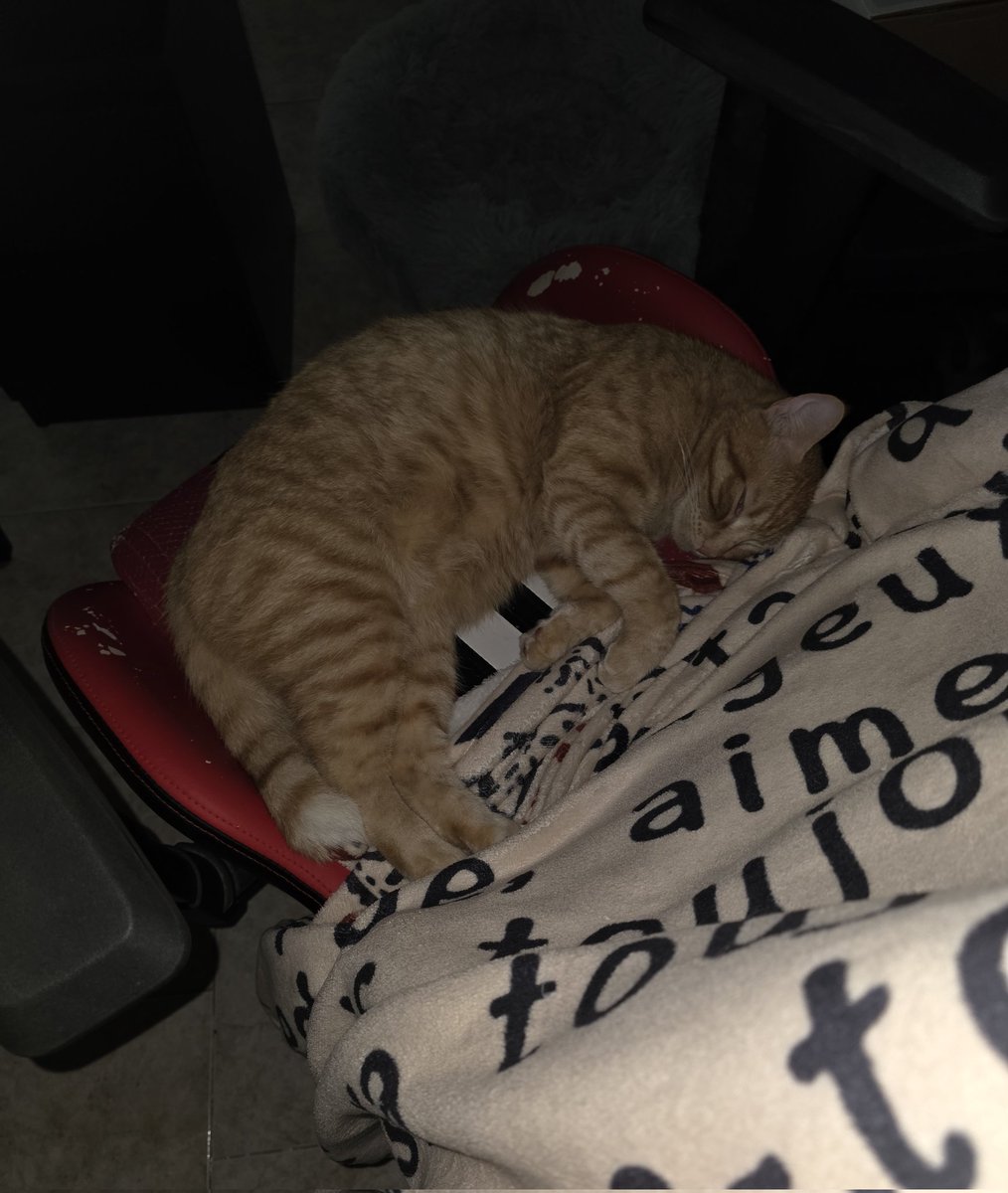 MatPaws's tweet image. ❤️