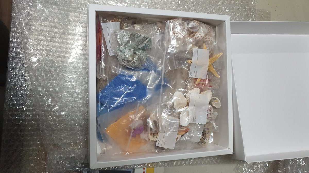 sunwoo_calli's tweet photo. #큰감동 #감사합니다
묵직한 매우 묵직한 도서들과 공예재료와
까까와 핫한 엉덩이비누! 착하게 살께요 
감사합니다 @ttudeul 💕💕💕 https://t.co/LwvG2sn5mZ