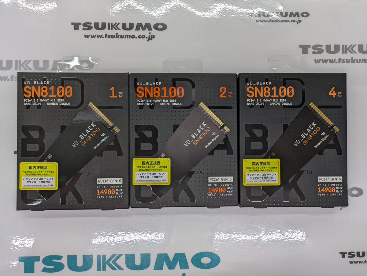 3F】 🌟12/21までの特価セール🌟 SanDisk（Western Digital） 『SN8100