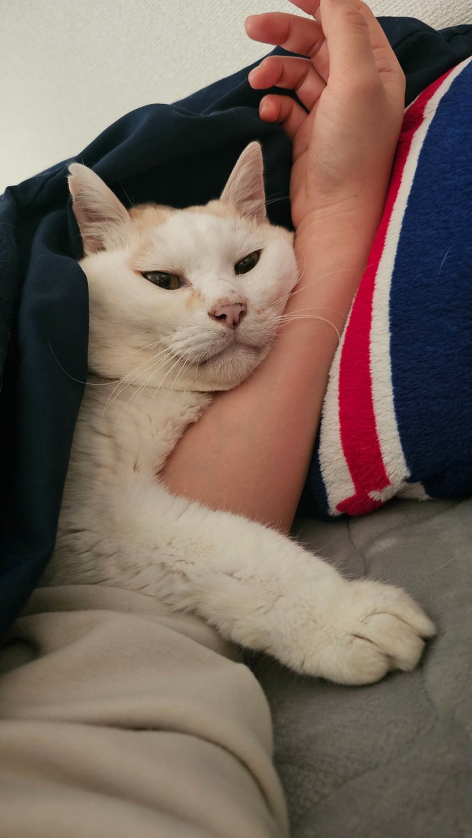 朝起きるとこうなってる