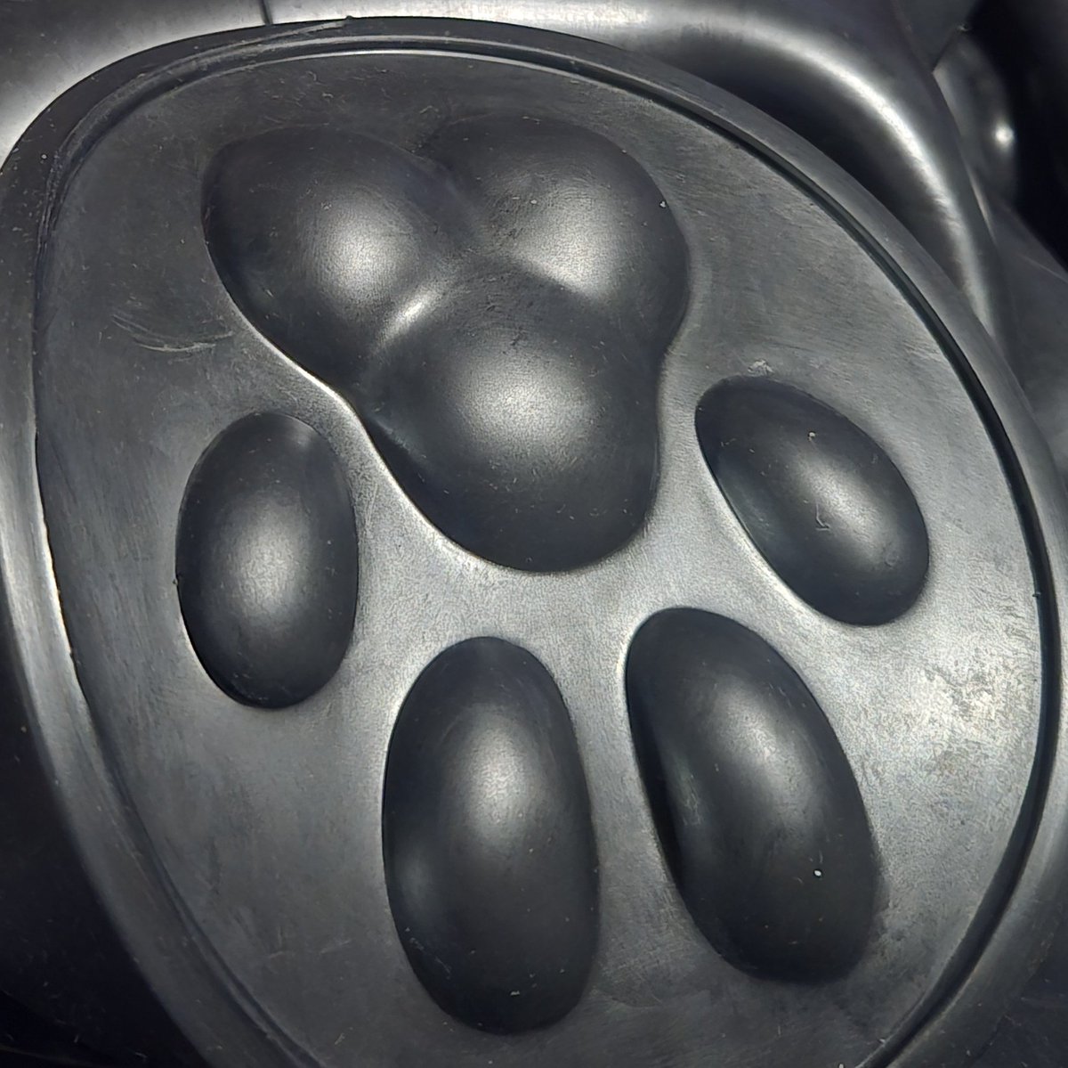 DroolyCorgi's tweet image. 🐾🐾