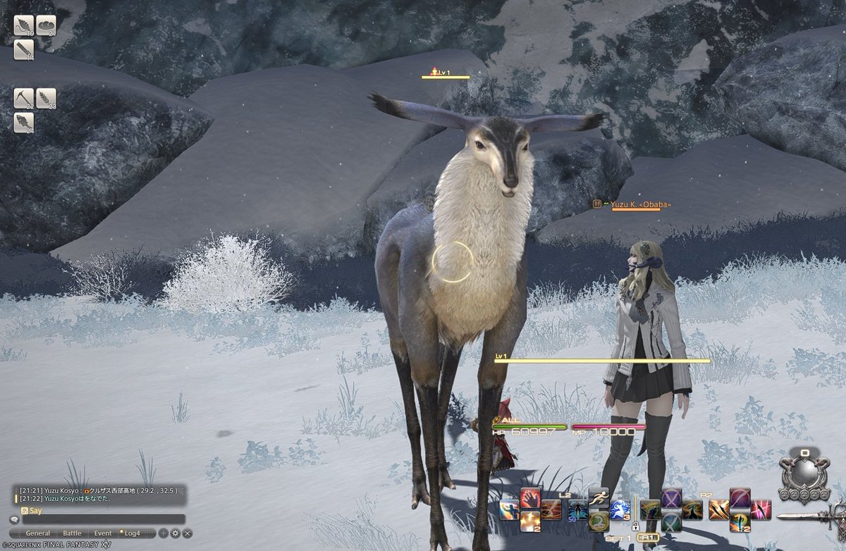 70lio's tweet image. クルザス西部高地の名無しの鹿を見にきた。記念撮影もした。