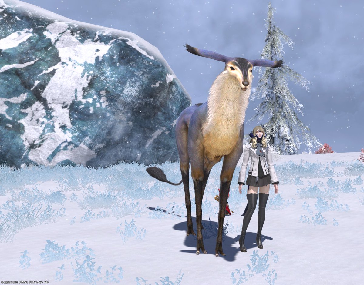 70lio's tweet image. クルザス西部高地の名無しの鹿を見にきた。記念撮影もした。