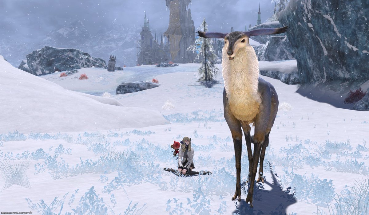 70lio's tweet image. クルザス西部高地の名無しの鹿を見にきた。記念撮影もした。